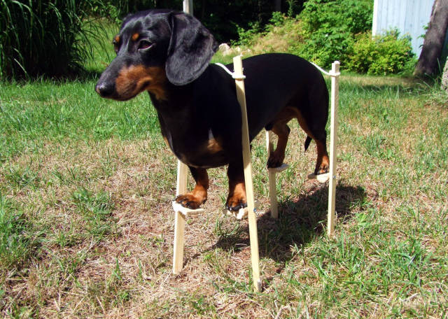 daily picdump weekend edition 52 pics 12.html - 52 HD Photos | Premium Gallery 2018