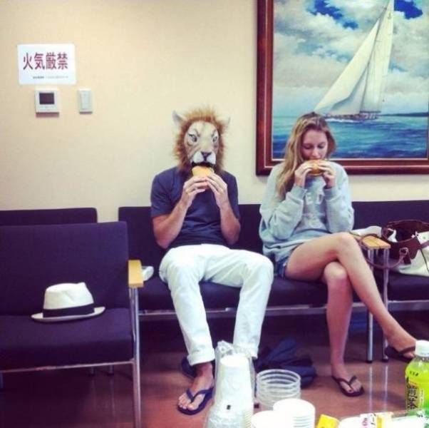 daily picdump weekend edition 52 pics 12.html - 52 HD Photos | Premium Gallery 2018