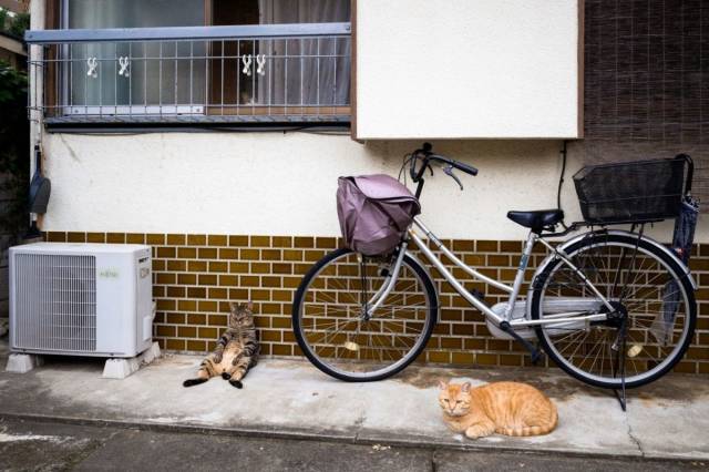 daily picdump 94 pics 32.html - 94 HD Photos | Premium Gallery 2018