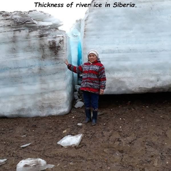 daily picdump 94 pics 32.html - 94 HD Photos | Premium Gallery 2018