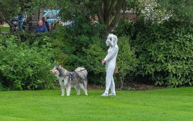 daily picdump 94 pics 32.html - 94 HD Photos | Premium Gallery 2018