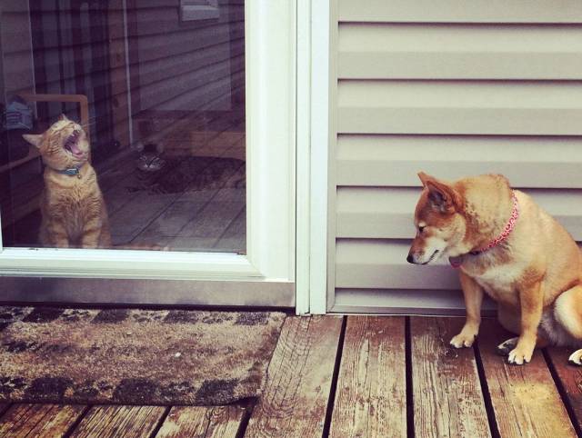 daily picdump 94 pics 32.html - 94 HD Photos | Premium Gallery 2018