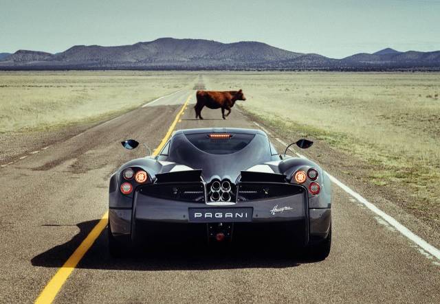 daily picdump 94 pics 32.html - 94 HD Photos | Premium Gallery 2018