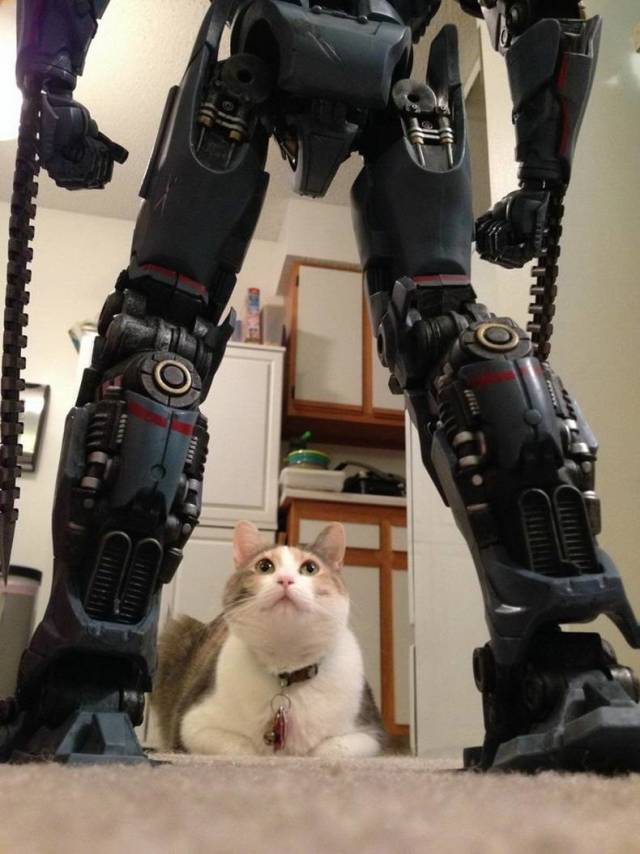 daily picdump 94 pics 32.html - 94 HD Photos | Premium Gallery 2018