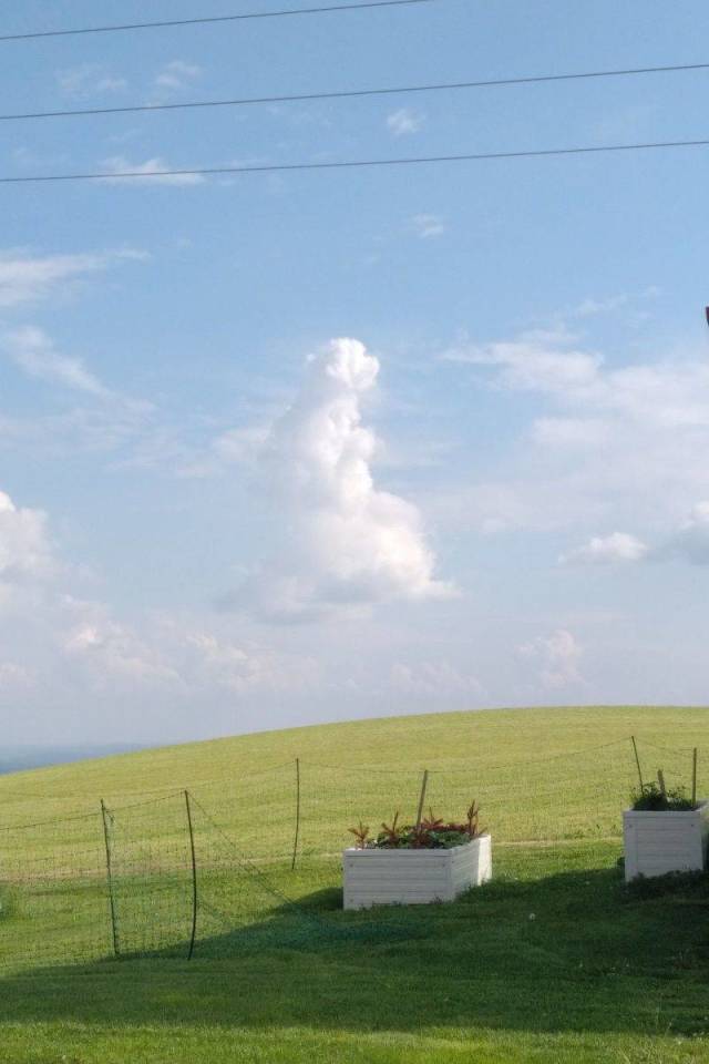 daily picdump 94 pics 32.html - 94 HD Photos | Premium Gallery 2018