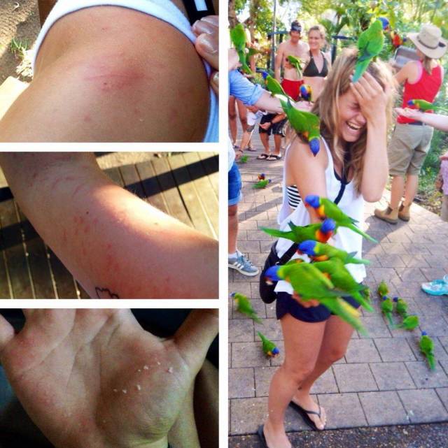 Sh*t Is All Around Us – It Happens