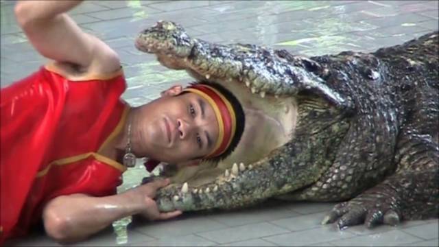 daily picdump 88 pics 32.html - 88 HD Photos | Premium Gallery 2018