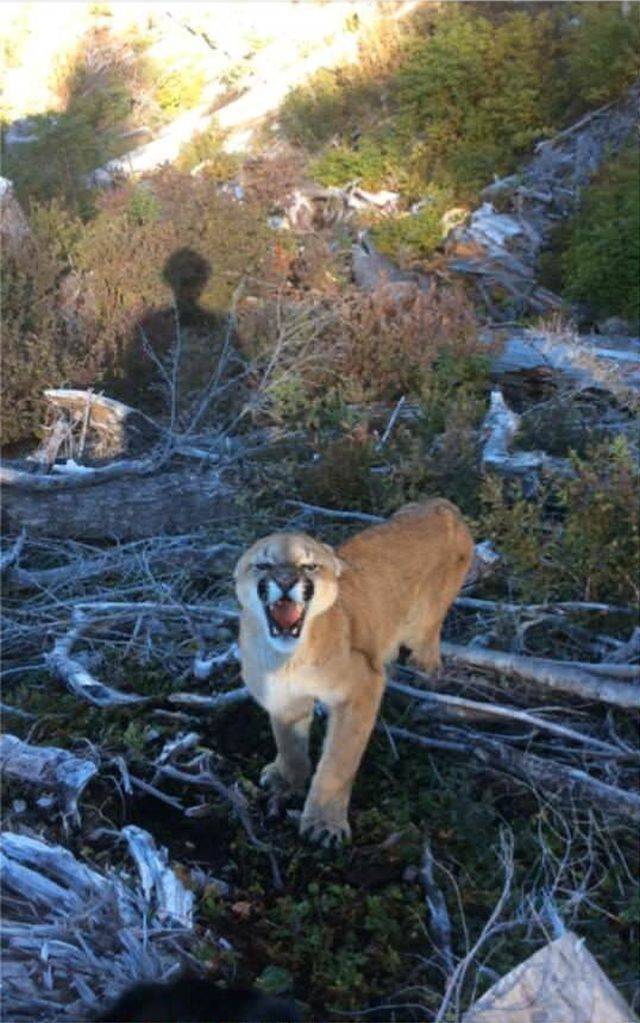 daily picdump 88 pics 32.html - 88 HD Photos | Premium Gallery 2018