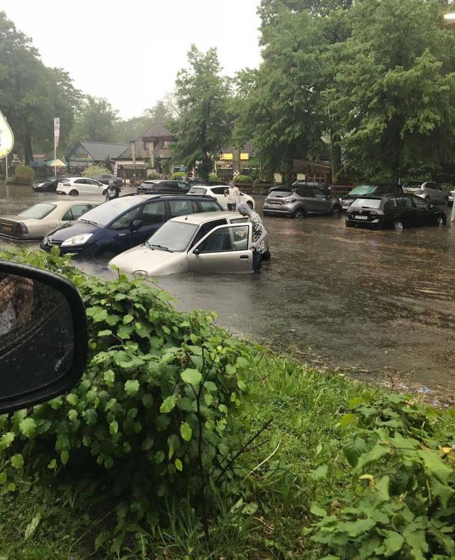 daily picdump 88 pics 32.html - 88 HD Photos | Premium Gallery 2018