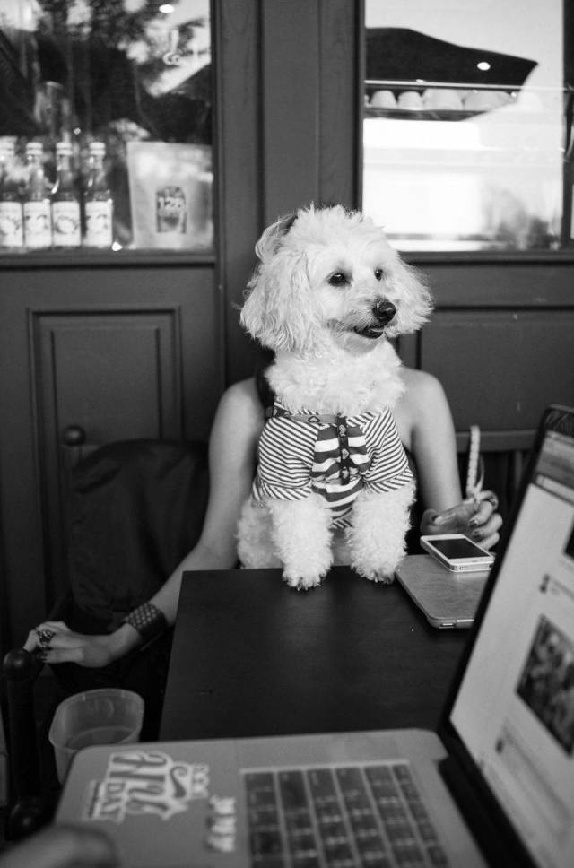 daily picdump 88 pics 32.html - 88 HD Photos | Premium Gallery 2018