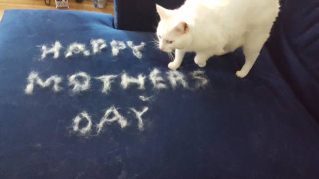 morning picdump 50 pics 1.html - 50 HD Photos | Premium Gallery 2018