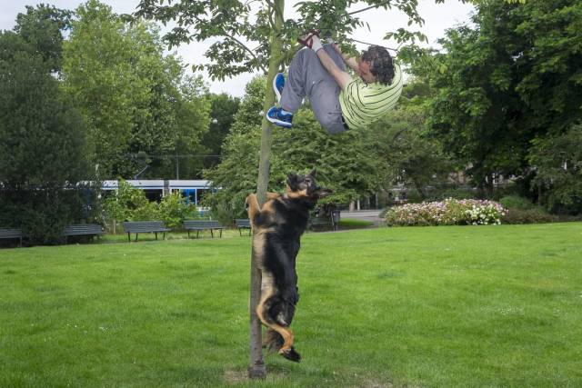 daily picdump 102 pics 41.html - 102 HD Photos | Premium Gallery 2018