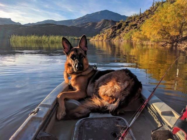 daily picdump 102 pics 41.html - 102 HD Photos | Premium Gallery 2018