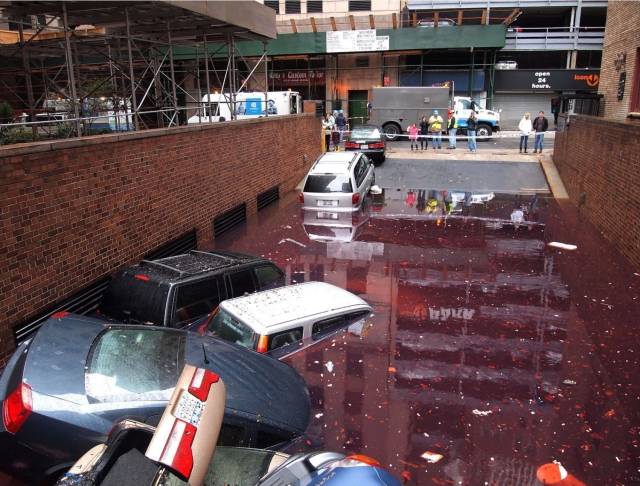 daily picdump 102 pics 41.html - 102 HD Photos | Premium Gallery 2018