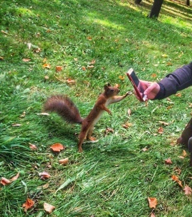 daily picdump 102 pics 41.html - 102 HD Photos | Premium Gallery 2018