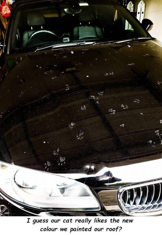 daily picdump 94 pics 23.html - 94 HD Photos | Premium Gallery 2018