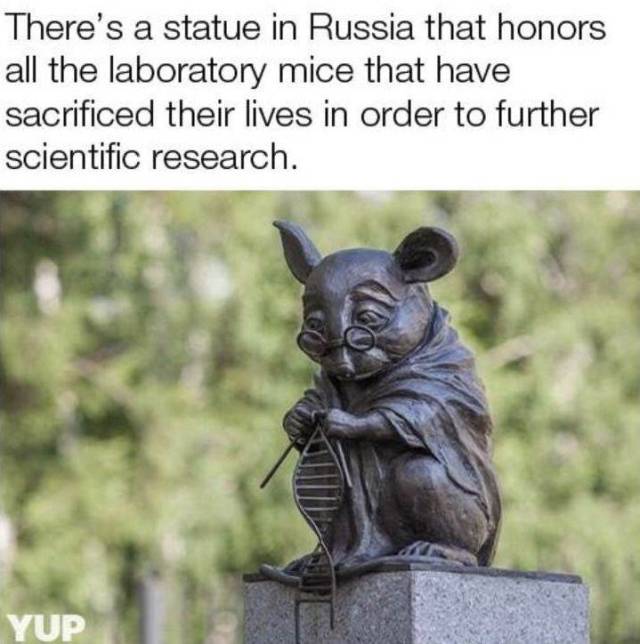 daily picdump 94 pics 23.html - 94 HD Photos | Premium Gallery 2018