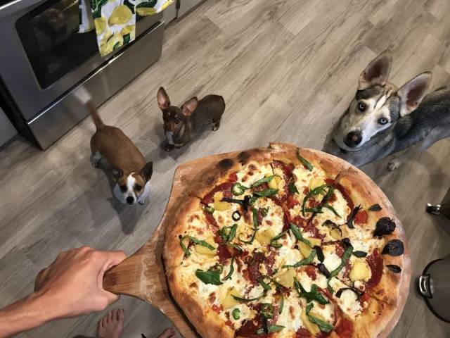 daily picdump 102 pics 49.html - 102 HD Photos | Premium Gallery 2018