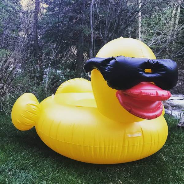 daily picdump 102 pics 49.html - 102 HD Photos | Premium Gallery 2018