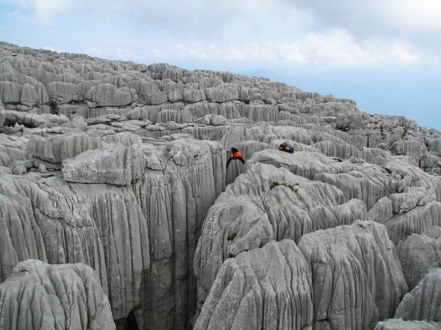 daily picdump 102 pics 49.html - 102 HD Photos | Premium Gallery 2018