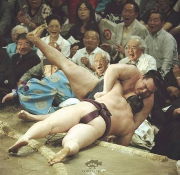 daily picdump 102 pics 49.html - 102 HD Photos | Premium Gallery 2018