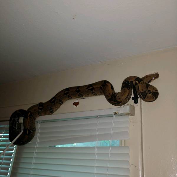 daily picdump 102 pics 49.html - 102 HD Photos | Premium Gallery 2018