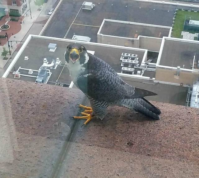 daily picdump 102 pics 49.html - 102 HD Photos | Premium Gallery 2018