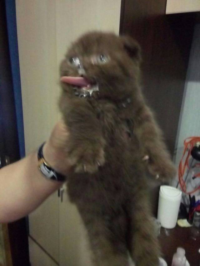 daily picdump 102 pics 49.html - 102 HD Photos | Premium Gallery 2018