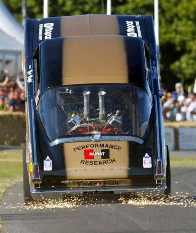 daily picdump 102 pics 49.html - 102 HD Photos | Premium Gallery 2018