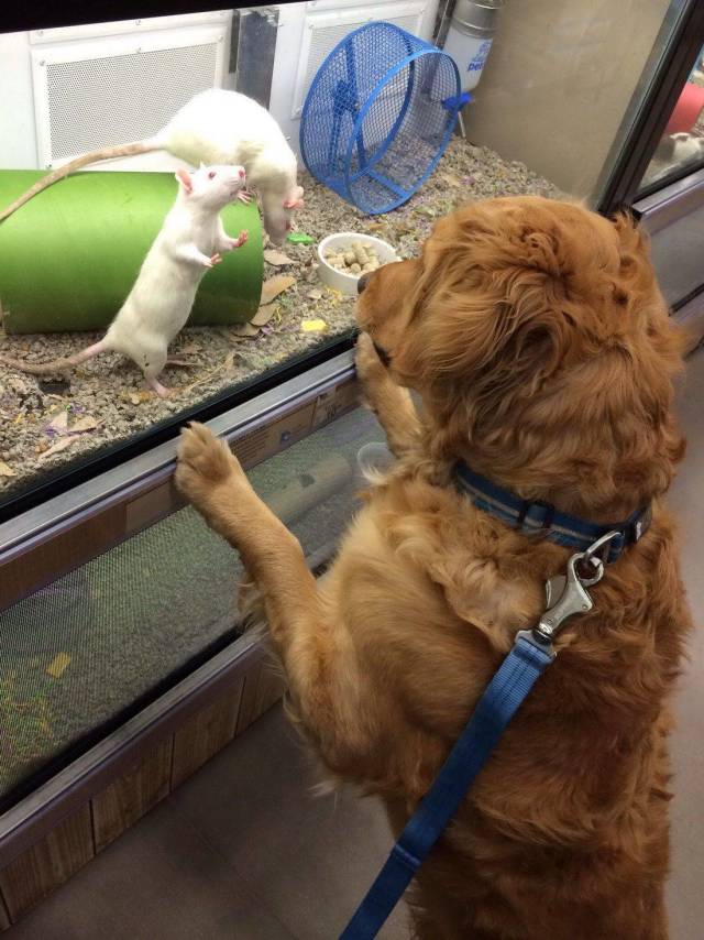 daily picdump 102 pics 49.html - 102 HD Photos | Premium Gallery 2018