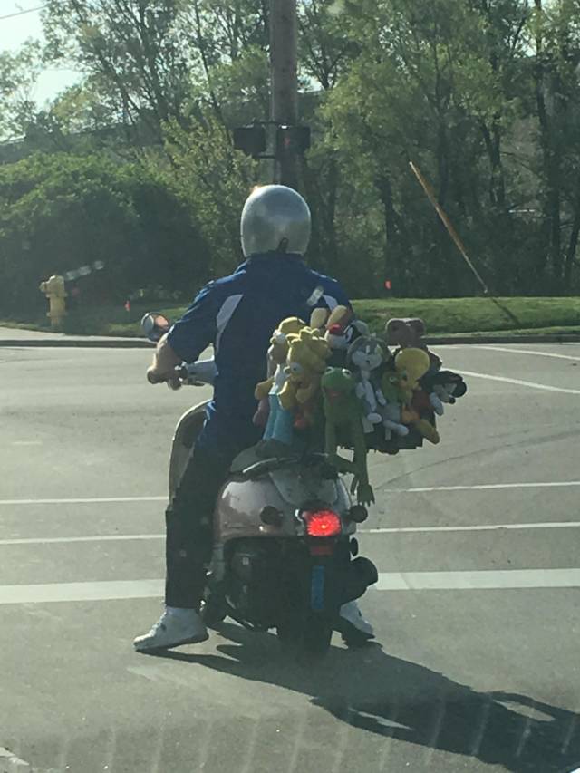 morning picdump 50 pics 17.html - 50 HD Photos | Premium Gallery 2018