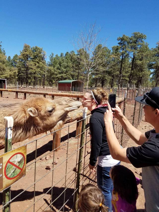 morning picdump 50 pics 17.html - 50 HD Photos | Premium Gallery 2018