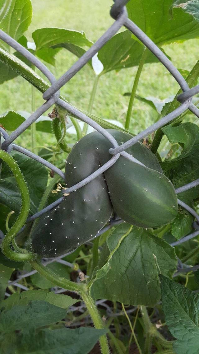 morning picdump 50 pics 17.html - 50 HD Photos | Premium Gallery 2018