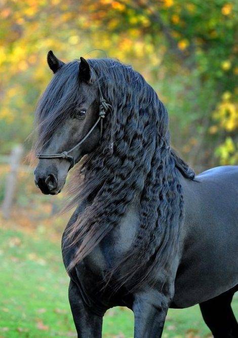 morning picdump 50 pics 17.html - 50 HD Photos | Premium Gallery 2018