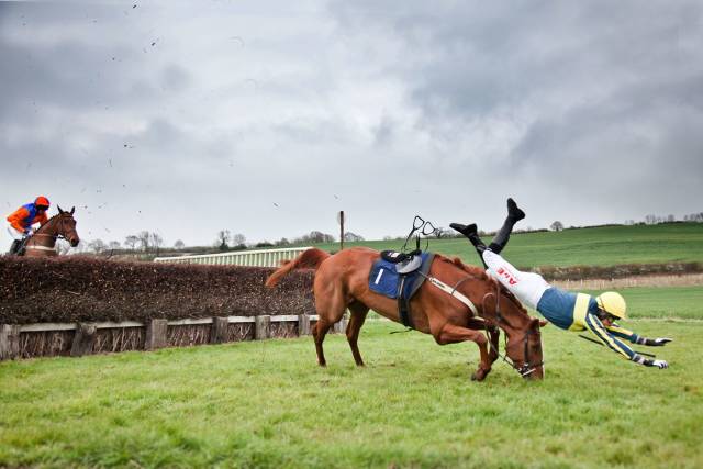 daily picdump weekend edition 77 pics 31.html - 77 HD Photos | Premium Gallery 2018