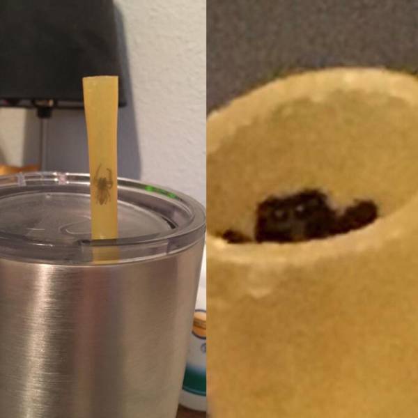 daily picdump weekend edition 77 pics 31.html - 77 HD Photos | Premium Gallery 2018