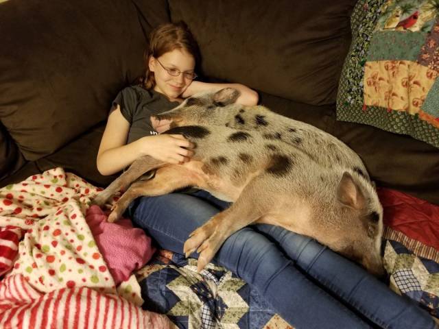 daily picdump weekend edition 77 pics 31.html - 77 HD Photos | Premium Gallery 2018