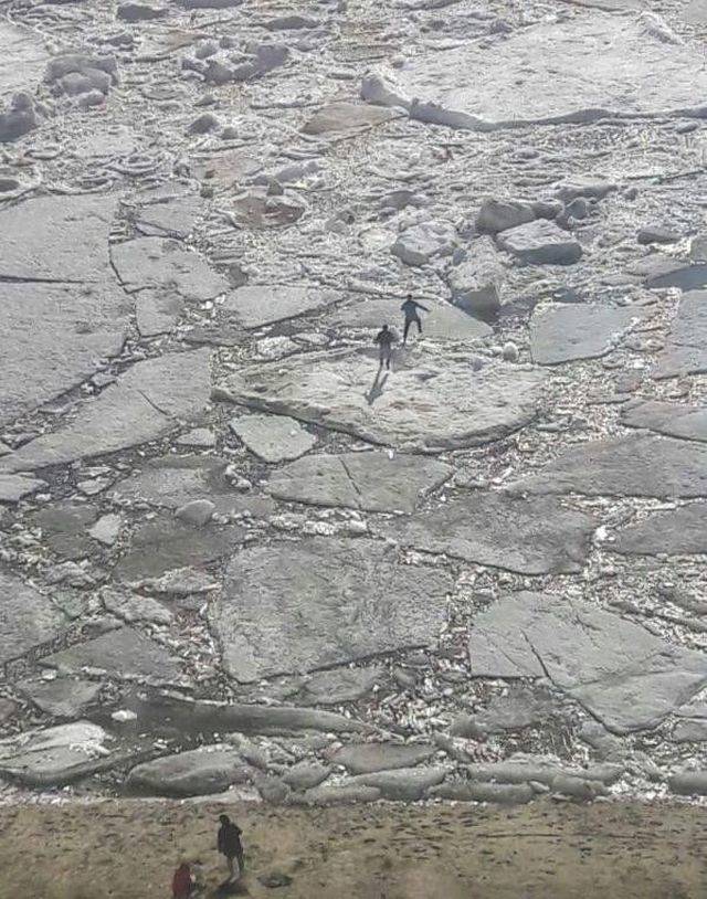 daily picdump weekend edition 77 pics 31.html - 77 HD Photos | Premium Gallery 2018