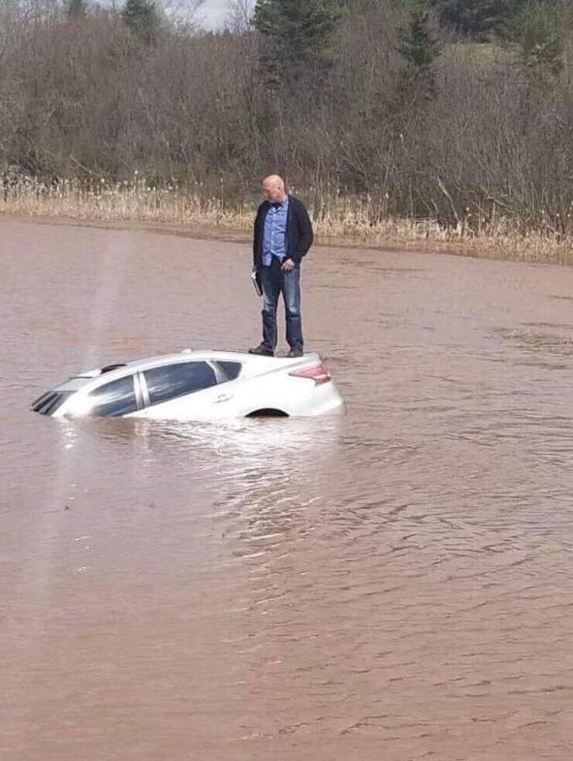 daily picdump weekend edition 77 pics 31.html - 77 HD Photos | Premium Gallery 2018