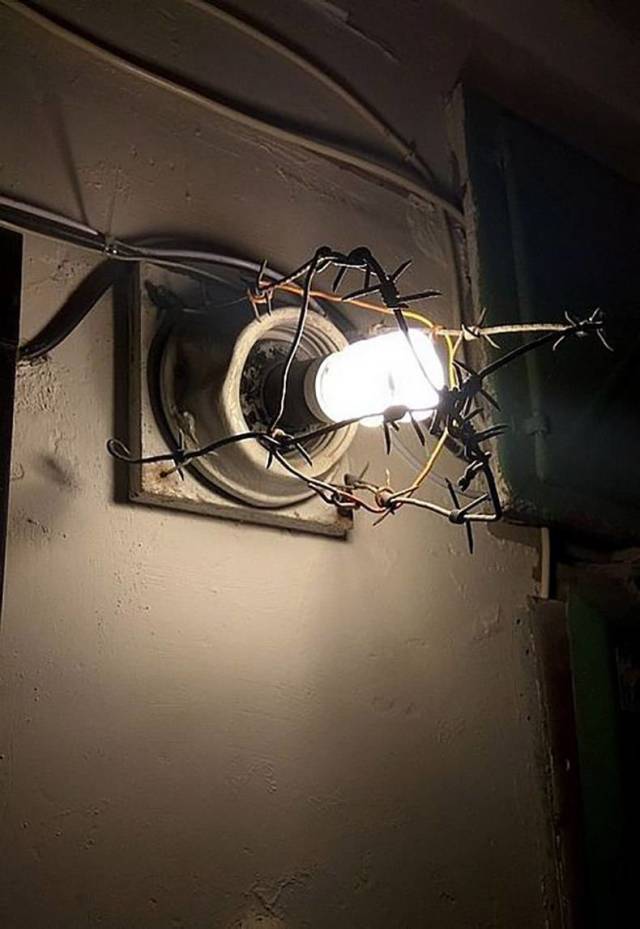 daily picdump weekend edition 77 pics 31.html - 77 HD Photos | Premium Gallery 2018