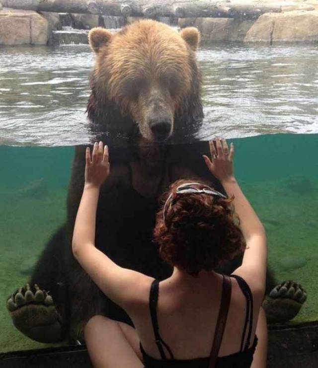 daily picdump weekend edition 77 pics 31.html - 77 HD Photos | Premium Gallery 2018