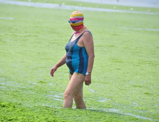 daily picdump 96 pics 20.html - 96 HD Photos | Premium Gallery 2018