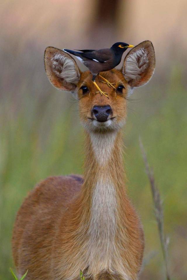 daily picdump 96 pics 20.html - 96 HD Photos | Premium Gallery 2018