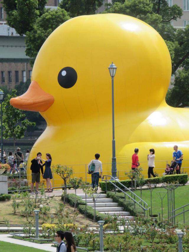 daily picdump 96 pics 20.html - 96 HD Photos | Premium Gallery 2018