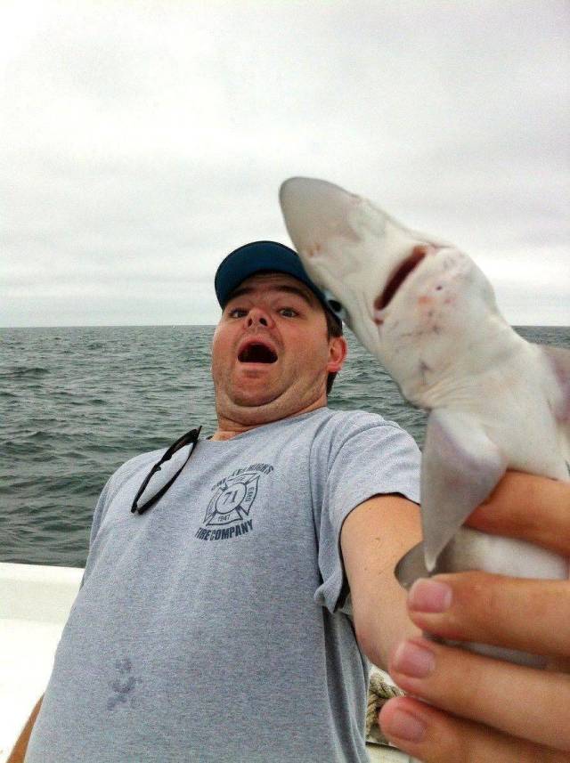 daily picdump 96 pics 20.html - 96 HD Photos | Premium Gallery 2018