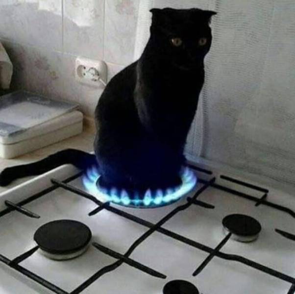 Hard-to-explain WTF Photos