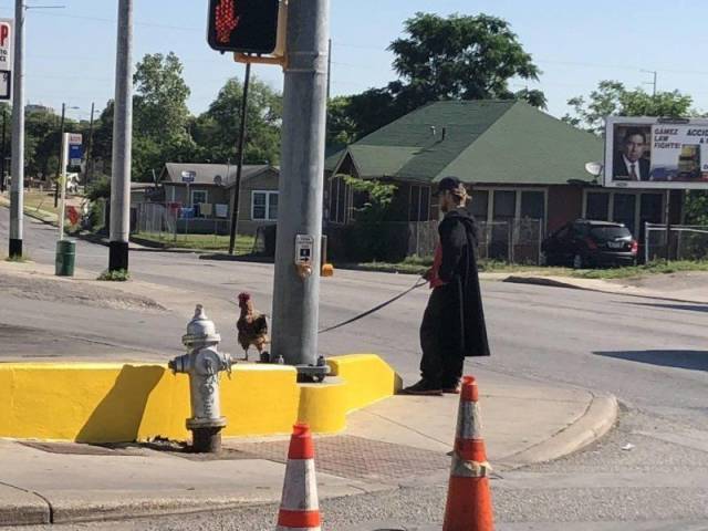 Hard-to-explain WTF Photos