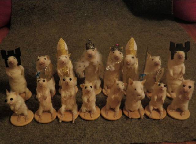 Hard-to-explain WTF Photos