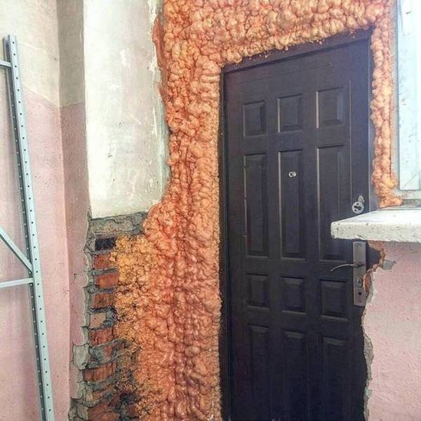 Hard-to-explain WTF Photos