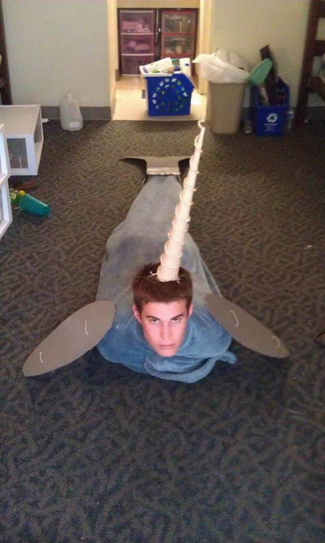 Hard-to-explain WTF Photos